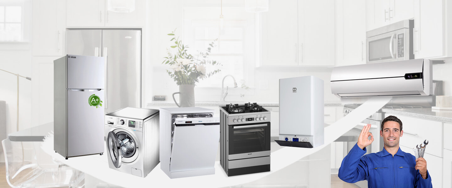 Bozüyük Warmhaus Servisi
